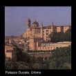 Urbino met Palazzo Ducale