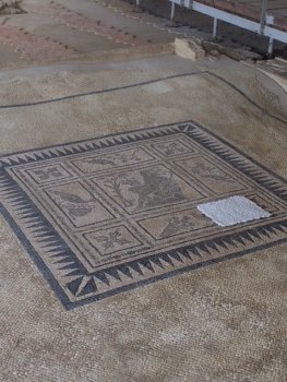 Opgravingen van Castelleone di Suasa