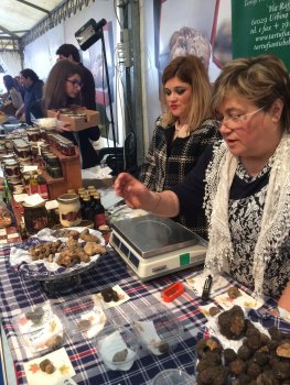 Oktober truffeltijd in Pergola