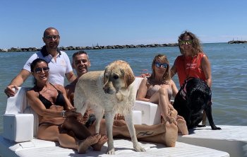Met je hond naar zee tijdens de vakantie